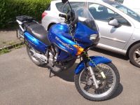 Honda XL650V Transalp Münster (Westfalen) - Centrum Vorschau