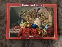 Castorland-Puzzle zu verkaufen Niedersachsen - Schortens Vorschau