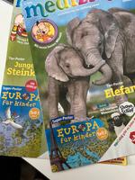 Medizini Europa Karte Teil 1 und 2 Baden-Württemberg - Ulm Vorschau