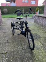 Top-Dreirad als E-Bike zu verkaufen Nordrhein-Westfalen - Hopsten Vorschau