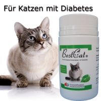 BestCat® - Naturheilmittel bei Katzendiabetes Hamburg - Hamburg-Nord Vorschau