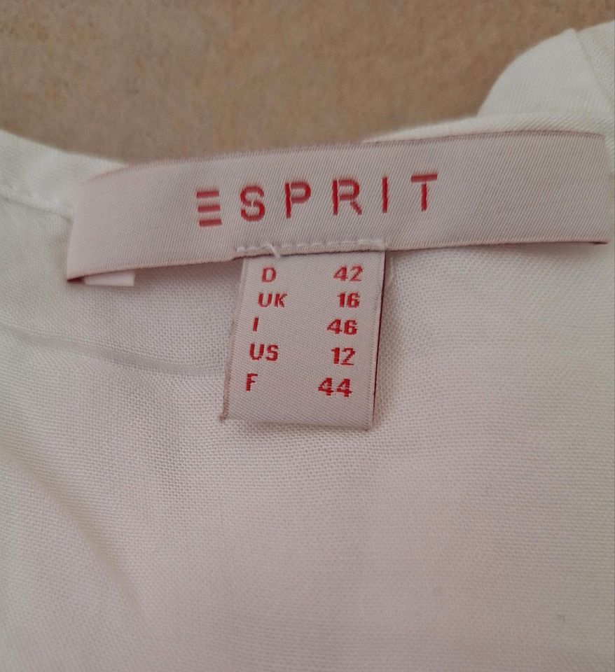 Umstandsshirt von Esprit in Kahl am Main