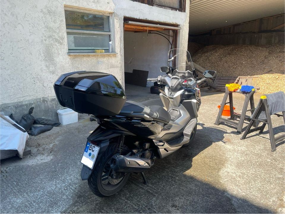 ‼️Honda Forza 300|Service/HU neu‼️ in Biberach an der Riß