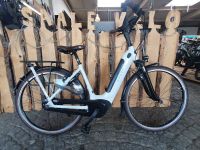 Gazelle Arroyo C7+ HMB Elite 2023  E-Bike Pedelec Bosch Bayern - Hammelburg Vorschau