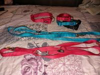 Trixie Halsband Leine Set rosa blau Hundehalsband Hundeleine Niedersachsen - Winsen (Luhe) Vorschau