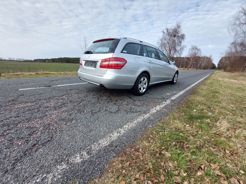 Mercedes Benz E 350 CDI T-Modell DISTRONIC Facelift ! in Biesenthal