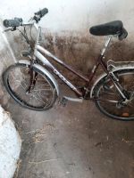 Fahrrad 26 Zoll Sachsen-Anhalt - Langenstein Vorschau