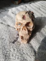 Totenkopf Vampir mit Skorpion Berlin - Lichtenberg Vorschau