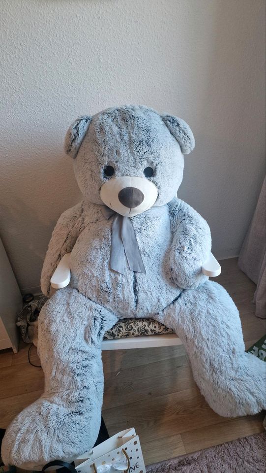 Großer Teddybär in Hannover