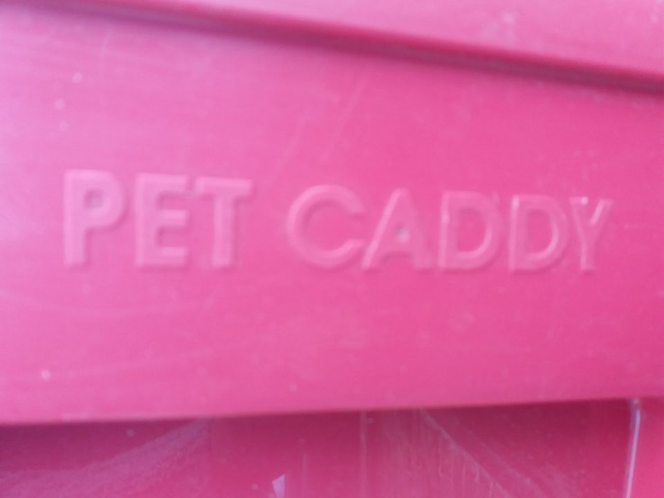 Kleintiertransportbox,Katzenbox,Pet Caddy,Hundebox in Oranienburg