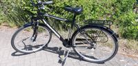 Cyco City Bike NEU 28 Zoll, 7 Gang Saarland - Blieskastel Vorschau