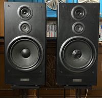 Pioneer CS 9030 Lautsprecher  110/220 Watt zu verkaufen Nordrhein-Westfalen - Steinfurt Vorschau