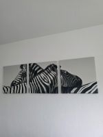 Bild 3teilig Afrika Zebra Deko Bochum - Bochum-Wattenscheid Vorschau