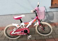 Kinderfahrrad mit Korb, 16er Niedersachsen - Bad Essen Vorschau