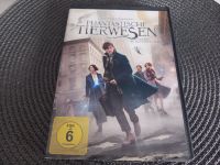 DVD Film Movie Phantastische Tierwesen wo sie zu finden sind Nordrhein-Westfalen - Korschenbroich Vorschau