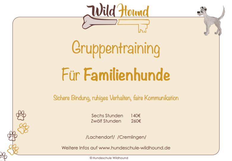 Hundetraining / Gruppentraining / Hundeschule in Lachendorf