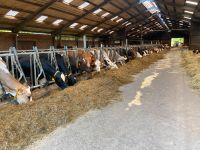 Milchviehbetrieb mit Biogasanlage und 240 ha Landflächen in Nordhessenn Hessen - Kassel Vorschau