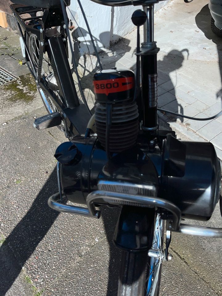 Viel Solex in Flensburg