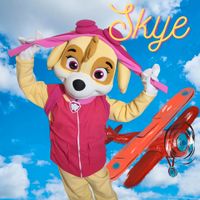 Skye PawPatrol Maskottchen Kostüm Geburtstag Party Paw Patrol Berlin - Steglitz Vorschau