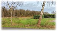 +++ GRUNDSTÜCK MIT WEITBLICK NAHE STEINHUDER MEER +++ Niedersachsen - Wunstorf Vorschau