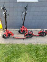 Metz Moover Pro E-Scooter Niedersachsen - Zernien Vorschau