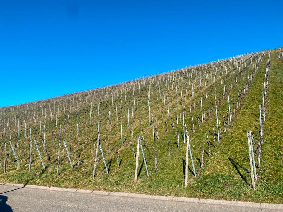 +++Jetzt 3% Baufi sichern+++Sonderkontingent+++Mietkaufvariante anfragen+++ in Weinstadt