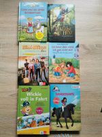 Kinder Bücher, Pferde, Schleich, Bibi und Tina, Connie ect. Niedersachsen - Bremervörde Vorschau