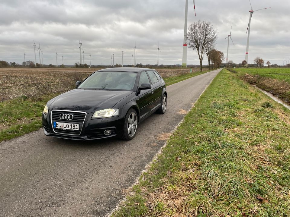 Audi a3 8p 2.0tdi Bi-Xenon usw tüv neu in Esterwegen