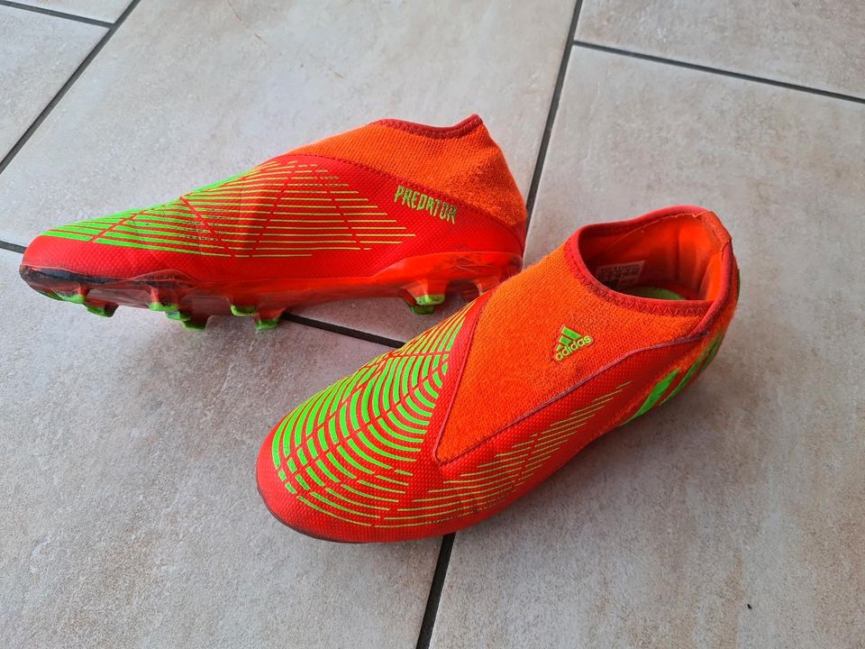 Adidas Fußballschuhe, Predator, Größe 38, inkl Versand in Brechen