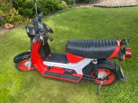 Simson SR50 CE „Rot-Weiß “-Edition Niedersachsen - Wolfsburg Vorschau