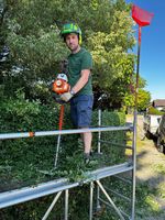 Gartenpflege, Rasen mähen und Hecke schneiden. Bayern - Rosenheim Vorschau