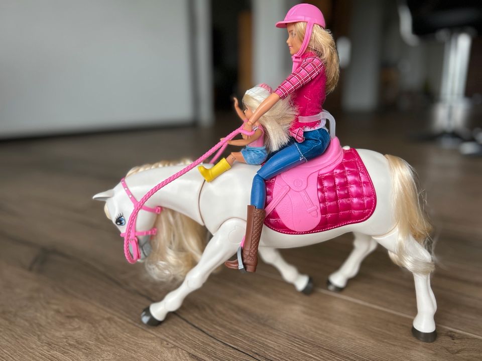 Mattel Barbie mit Chelsea und Traumpferd mit viel Zubehör in Merzig