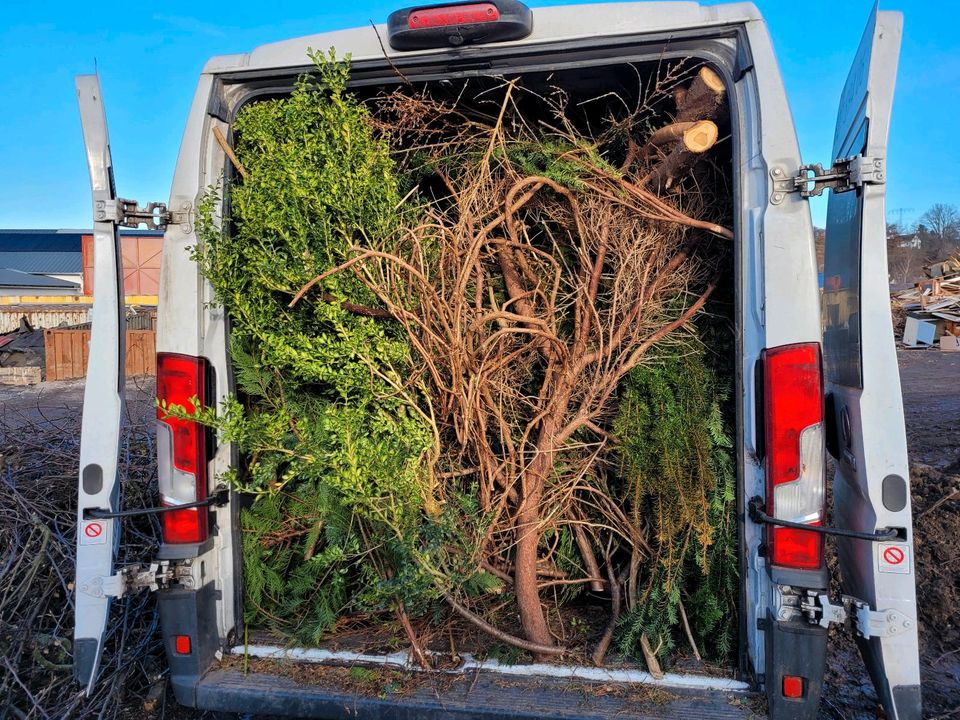 Gartenberäumungen - Heckenverschnitt - Hecke Entfernen in Zwickau