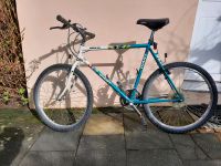 Mountainbike Giant Hurricane Retro zu verkaufen Wuppertal - Cronenberg Vorschau