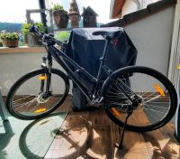 Fahrrad 28 Zoll Rheinland-Pfalz - Konz Vorschau