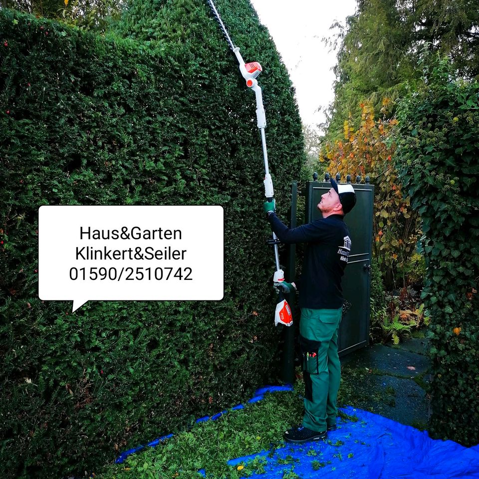 Gartenarbeit Hecken schneiden vertikutieren Rasenmähen Gärtner uv in Beckingen
