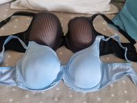 BHs von Triumph hellblau+schwarz Kiel - Hassee-Vieburg Vorschau