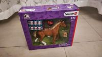 Schleich 42360 - Horse Club - Englisches Vollblut mit Decke Hessen - Schwalmstadt Vorschau