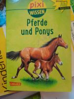 Pixi Wissen Pferde und Ponys Berlin - Neukölln Vorschau