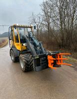 Fällgreifer FG 20 mit Euroaufnahme, Radlader, Traktor etc. Baden-Württemberg - Häg-Ehrsberg Vorschau