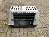 Hundebox frontal zum öffnen Hessen - Angelburg Vorschau