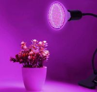 LED Pflanzenlampe Wachstumspflanze Pflanzenleuchte Vollspektrum Hessen - Bebra Vorschau