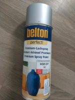 Belton Perfect Premium Lackspray silber OVP Harburg - Hamburg Neugraben Vorschau