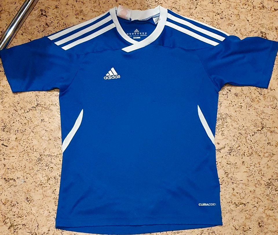 Adidas ClimaCool Sportshirt Junge Größe 2XS blau in Herzberg am Harz