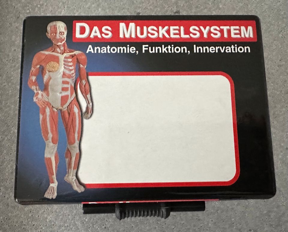Anatomie-Lernkarten (Skelett und Muskeln) in München