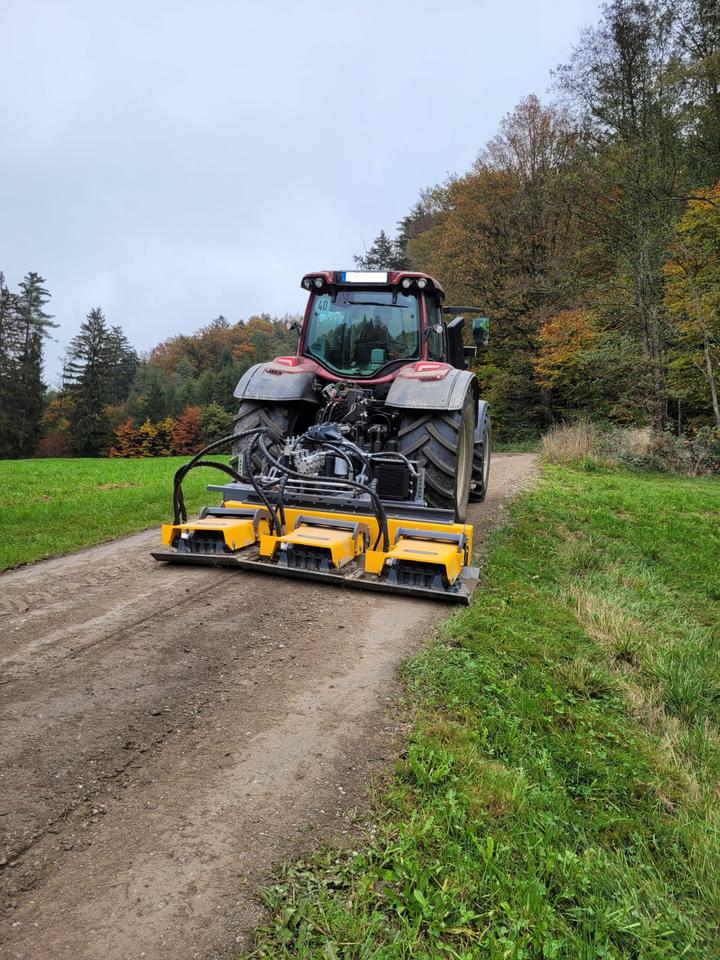 Gutzwiller Rüttelplatte Plattenverdichter  Zapfwellenantrieb in Schwaigern