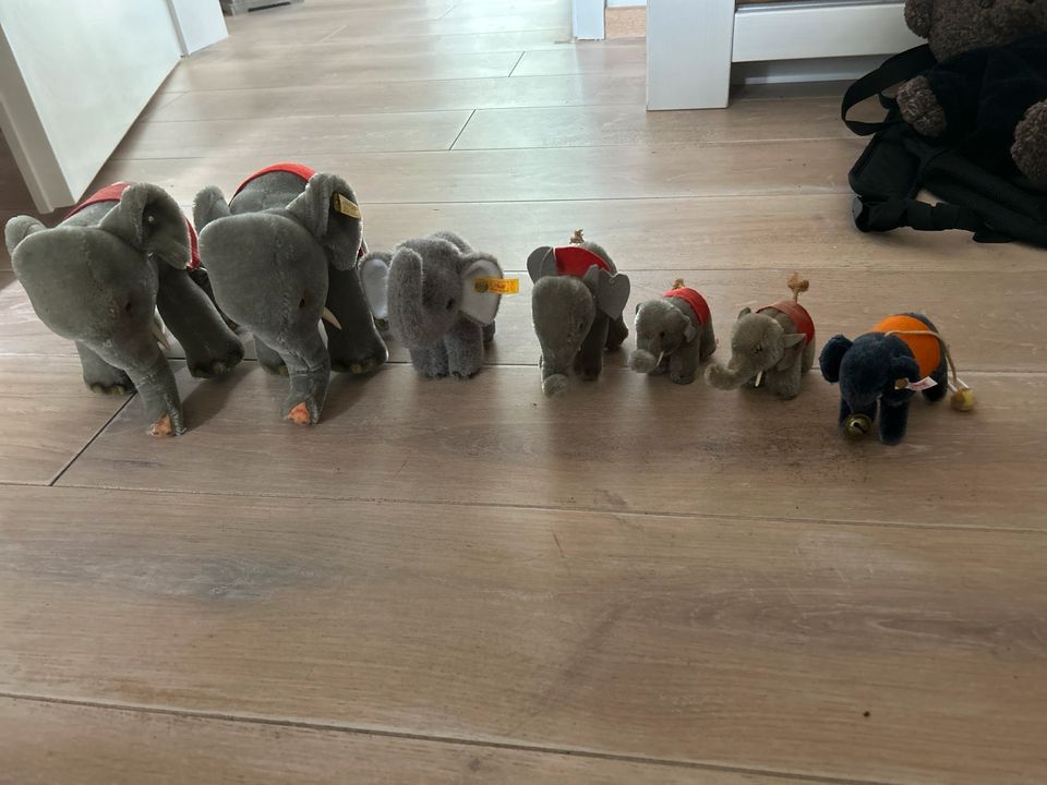 Steiff Elefant Sammlung Elefanten in Willich