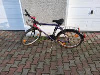 Fahrrad Mountainbike Phonix 26 Zoll Sachsen-Anhalt - Staßfurt Vorschau