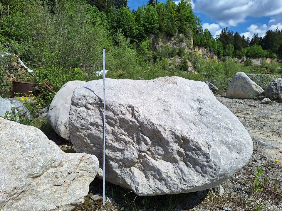 Findlinge (Kalksteine) in verschiedenen Größen in Lenggries