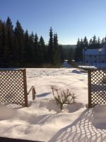 Gemütliche Ferienwohnung im Erzgebirge in idyllischer Waldlage Sachsen - Annaberg-Buchholz Vorschau